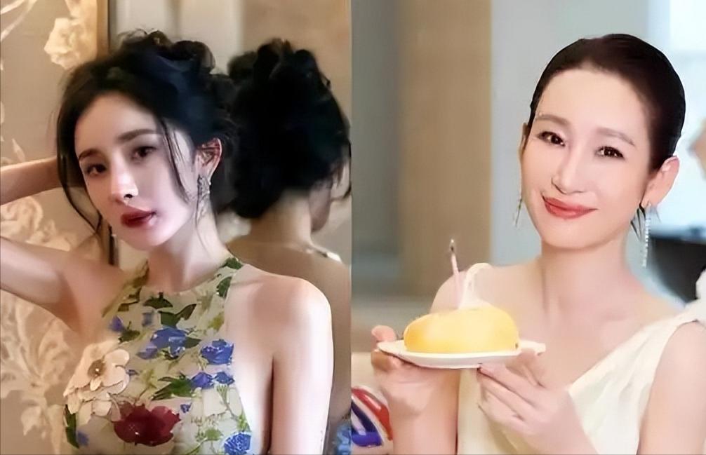 杨幂演技争议_杨幂转型成功案例_娱乐圈小说有杨幂